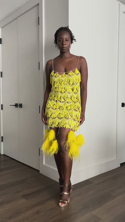 Raine Sequin Fringe Mini Dress